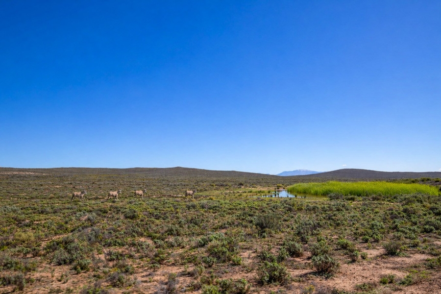 Commercial Property for Sale in Montagu Rural Western Cape